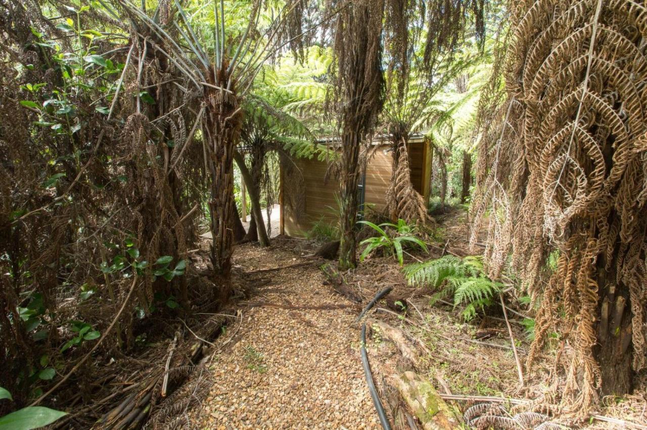 Karaka Sanctuary With Spa Pool By Waiheke Unlimited Oneroa 객실 사진